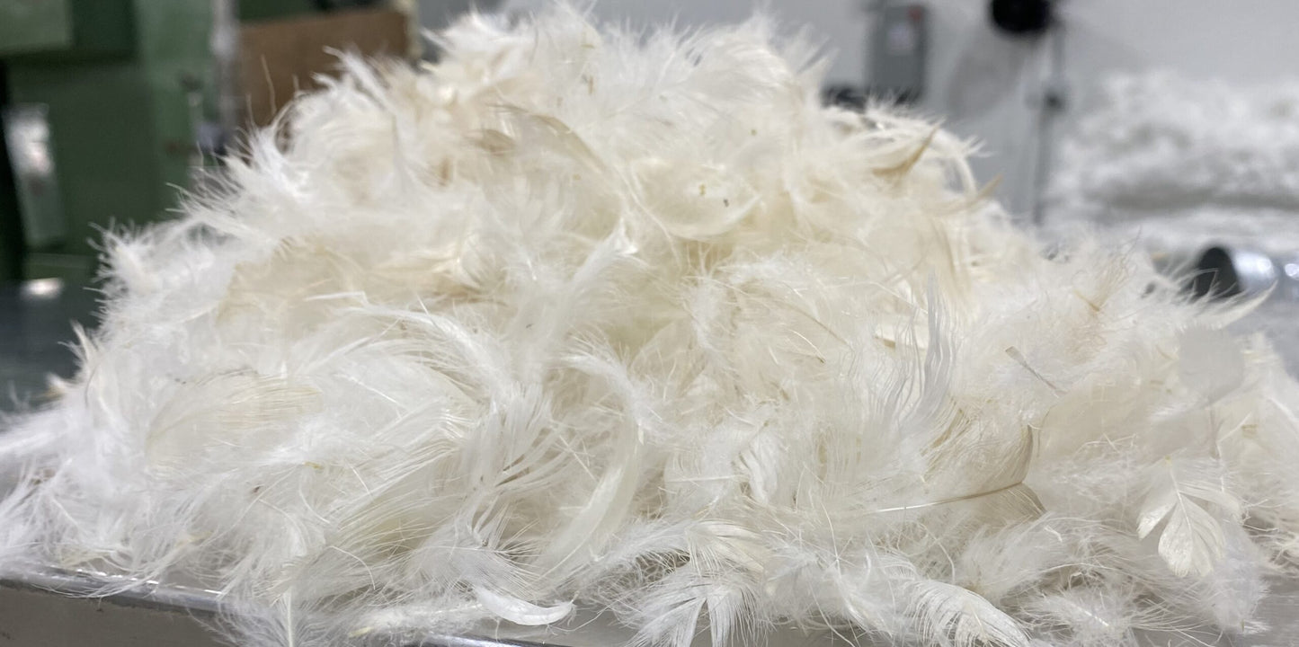 Feather image 0