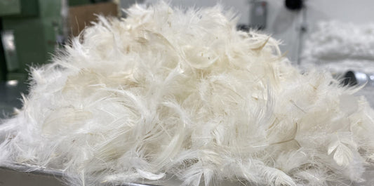 Feather image 0
