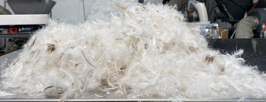 Feather Down image 0