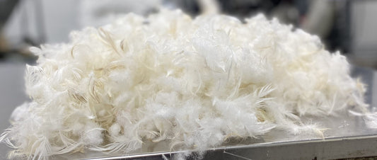 Feather & Polyester image 0